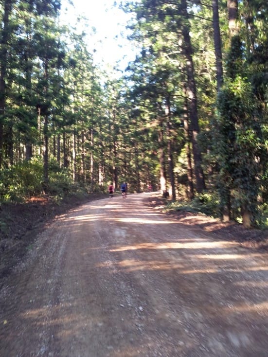 Australia’s Toughest Marathon?