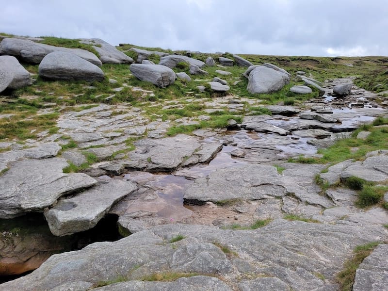 Kinder Downfall
