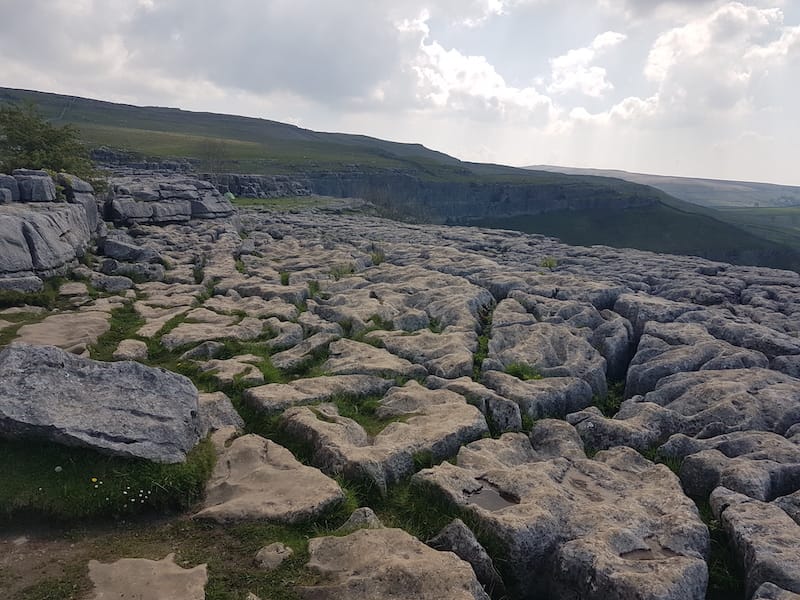 Limestone Pavement