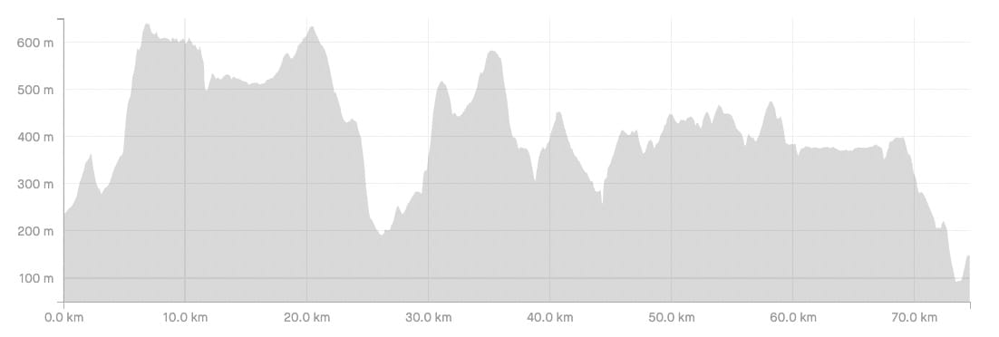 Profile of the race