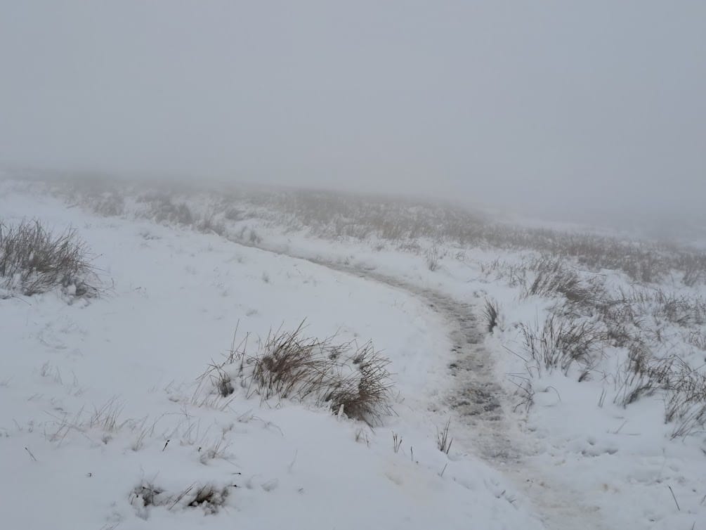 slush and mud