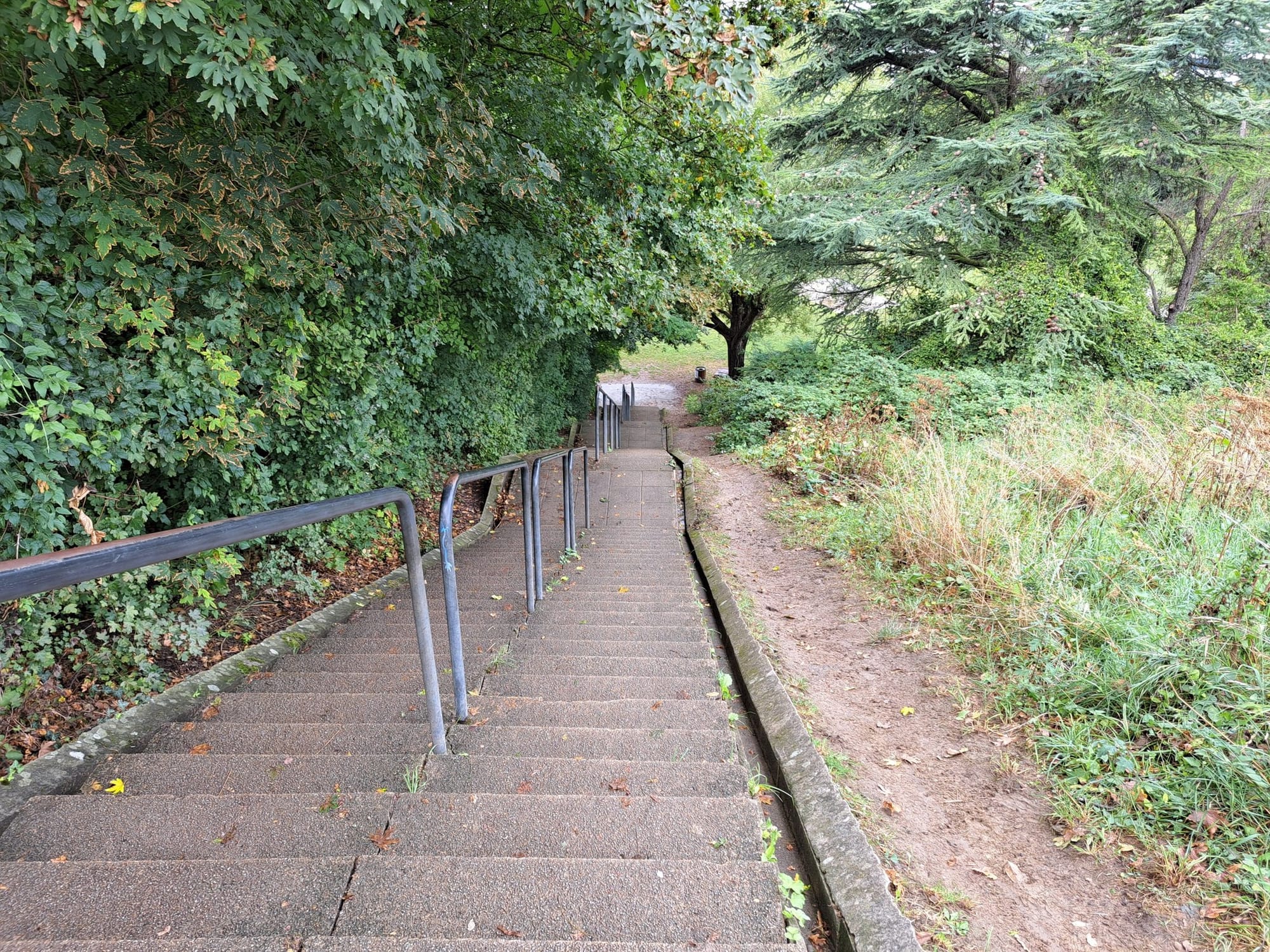 Steep Steps