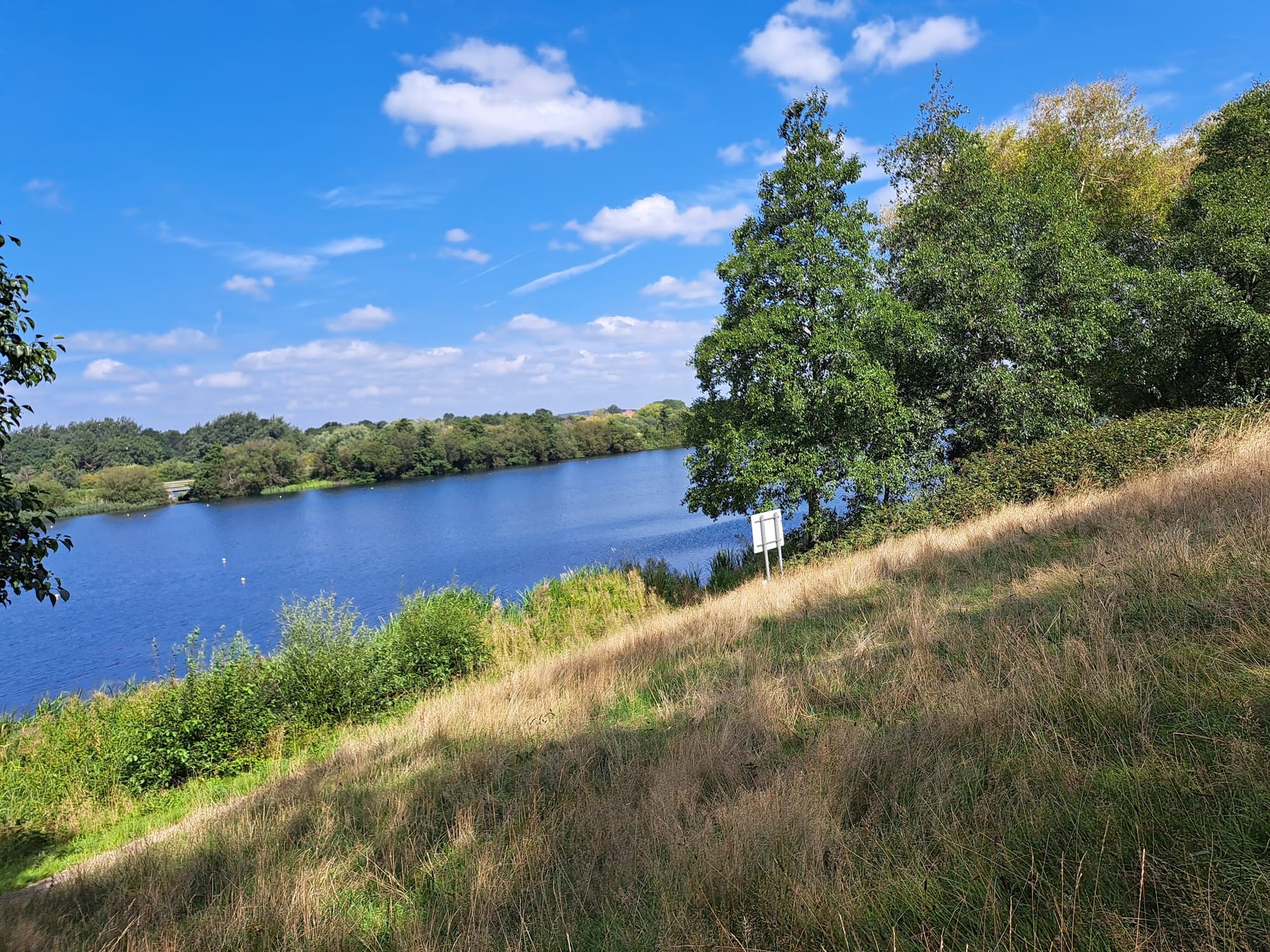 Looking down on a lake