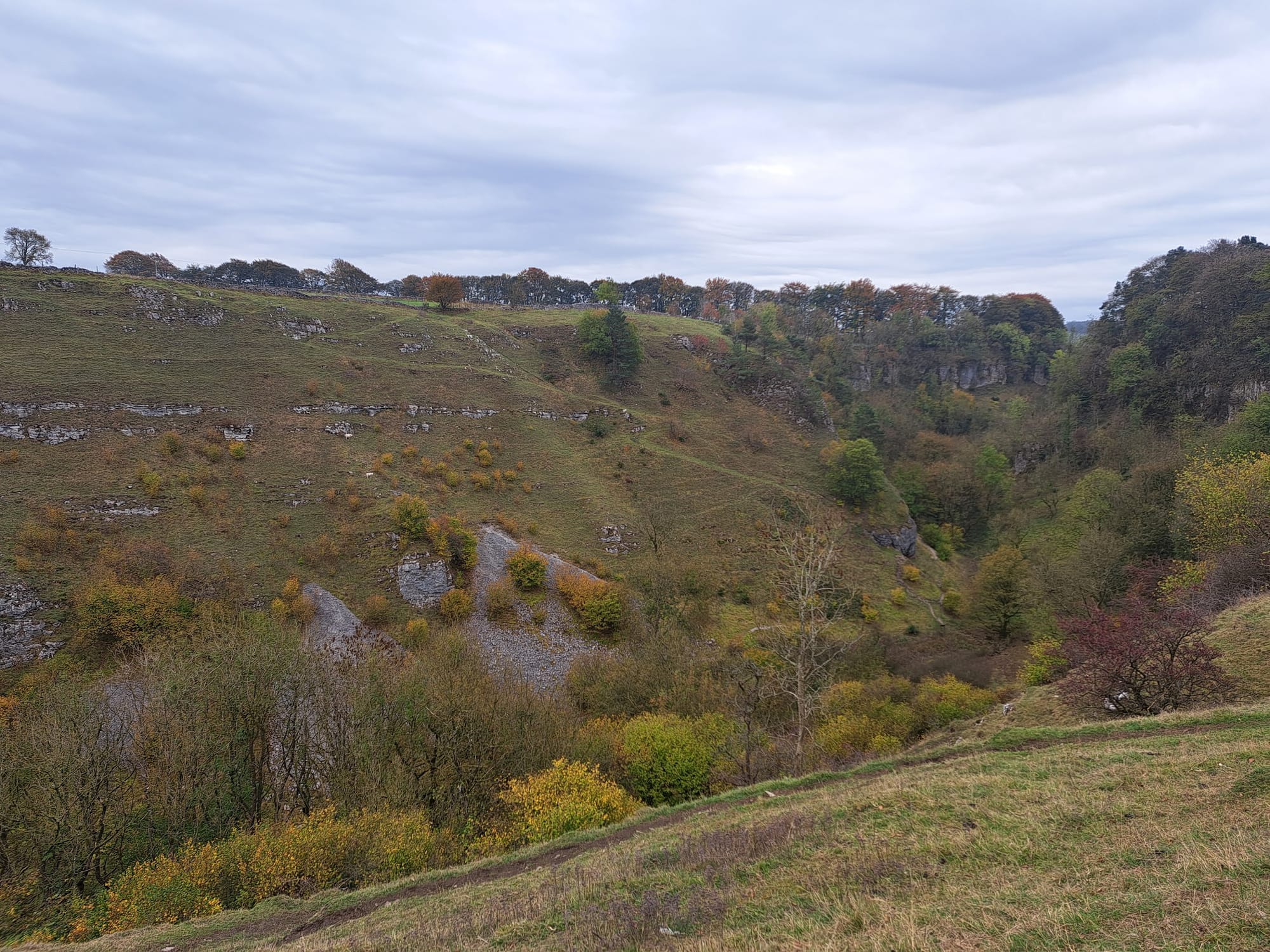 Autumbal View