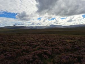 Wicklow Mountains