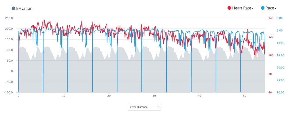 Ray Race Profile