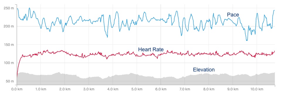 Data chart, pace, heart rate and elevation