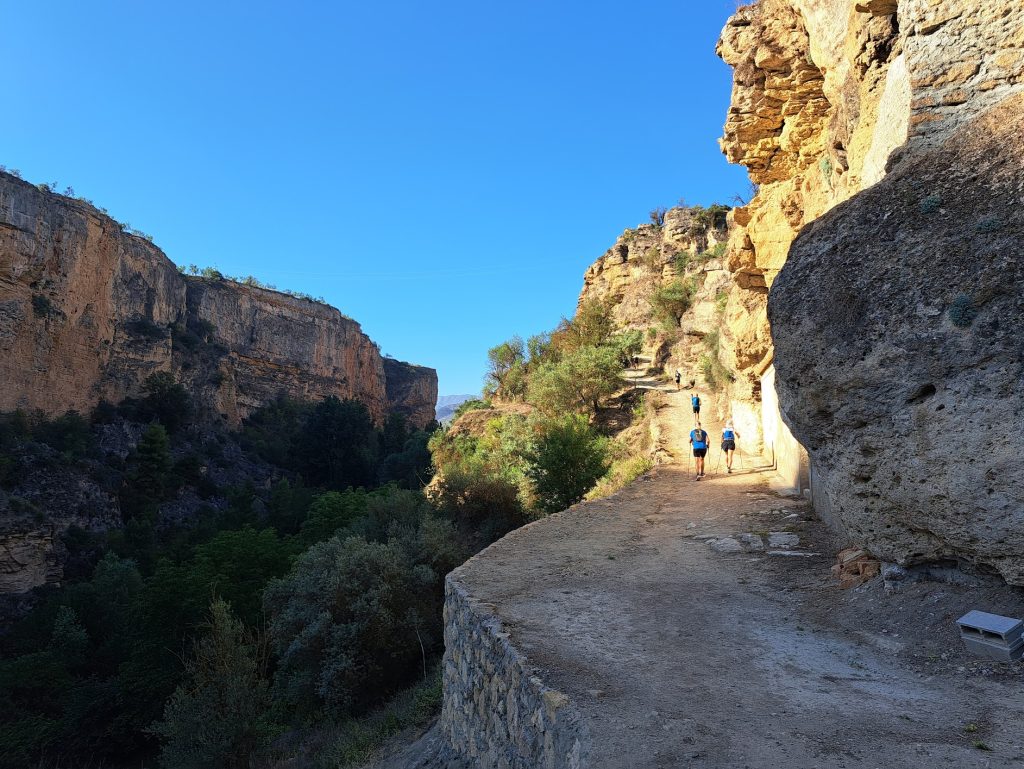 Runners in the gorge