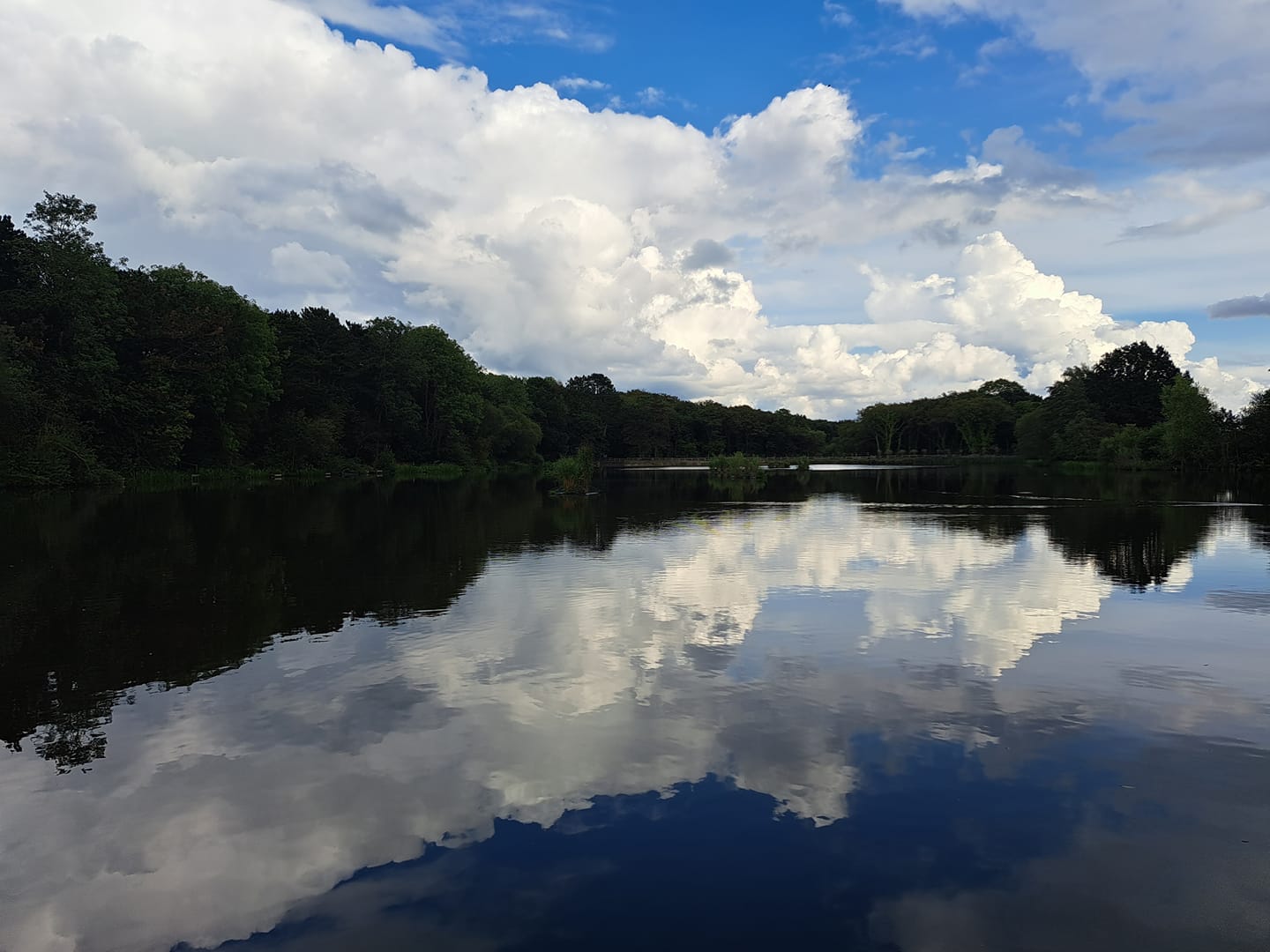 Lake in Shipley Country Park