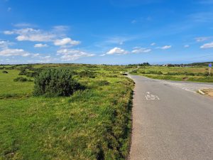 Bodmin Moor