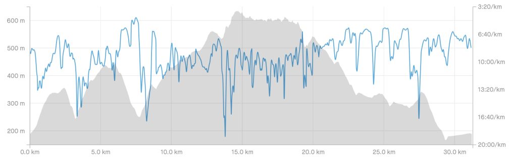 Hill and Pace Profile