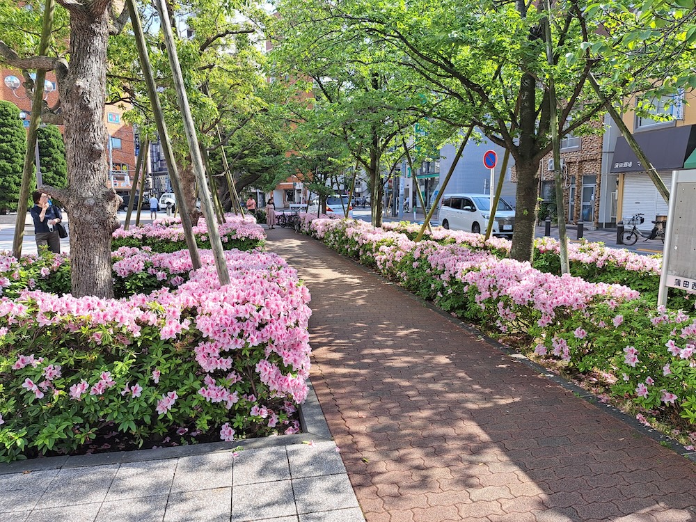 Flowers in a street in Tokyo