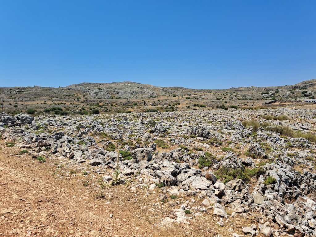 Desset landscape