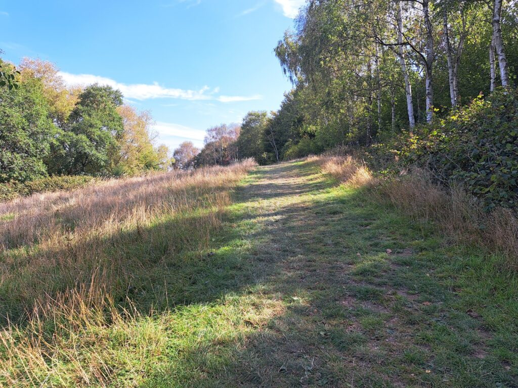 A hill