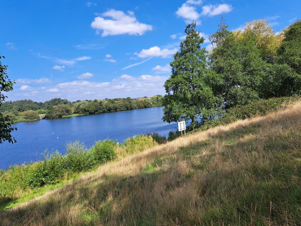 Looking down on a lake