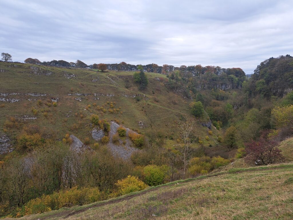 Autumbal View