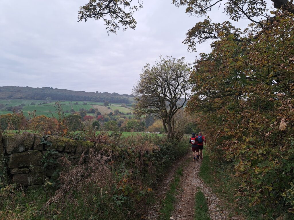 Down a trail